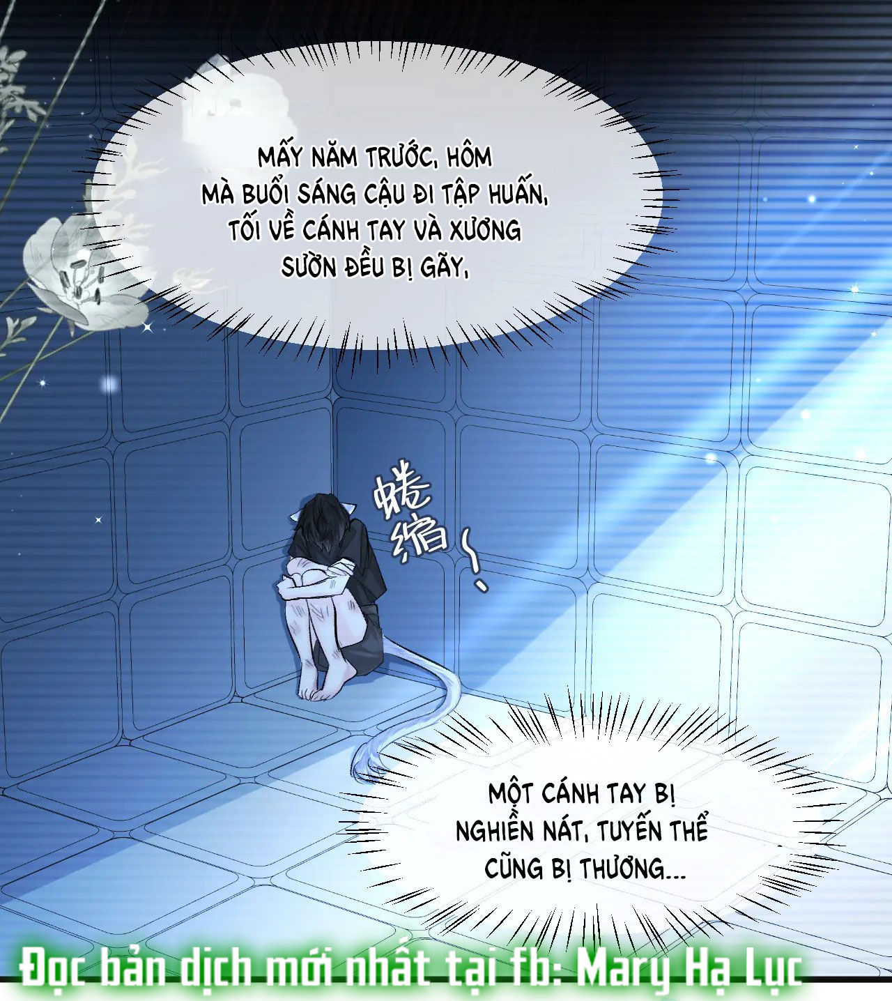 nhân ngư sa ngã chapter 19.2 10