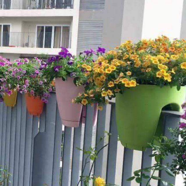 Combo 5 chậu kẹp lan can cỡ lớn