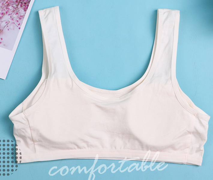 Hình ảnh Bra / Áo Lá Nữ Sinh Cotton Tinh Khiết MILK Xuất Đông ( AL : 212 ) Hàng Loại Đẹp.