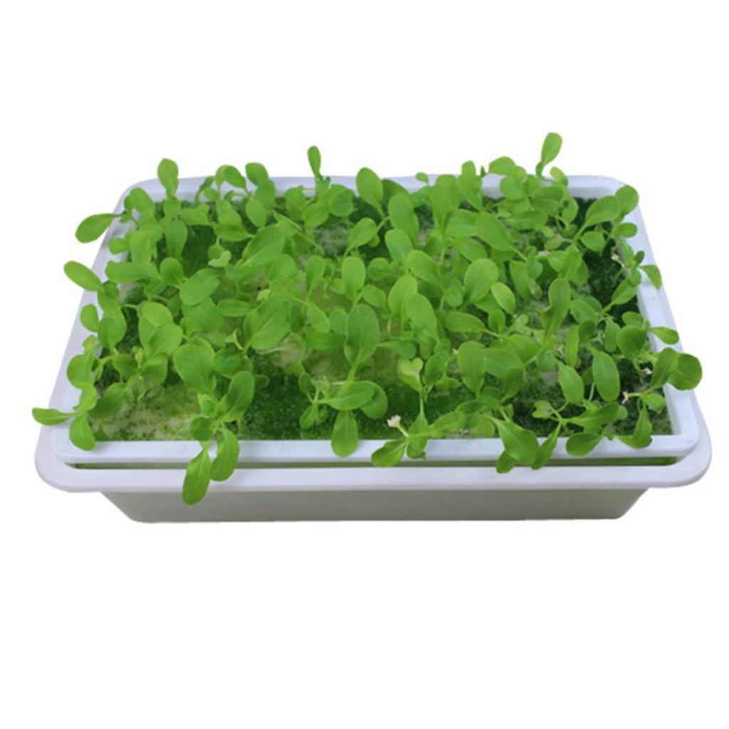 2x Grow Tray Seed Starting Plant Propagation Germination Garden