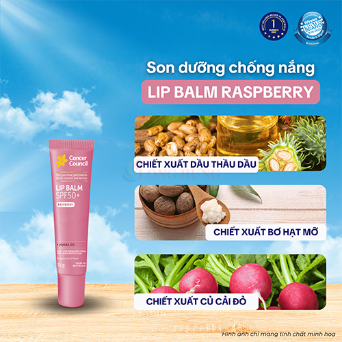 Son dưỡng môi chống nắng Cancer Council Raspberry Lip Balm SPF50+ (15g) - Hàng chính hãng