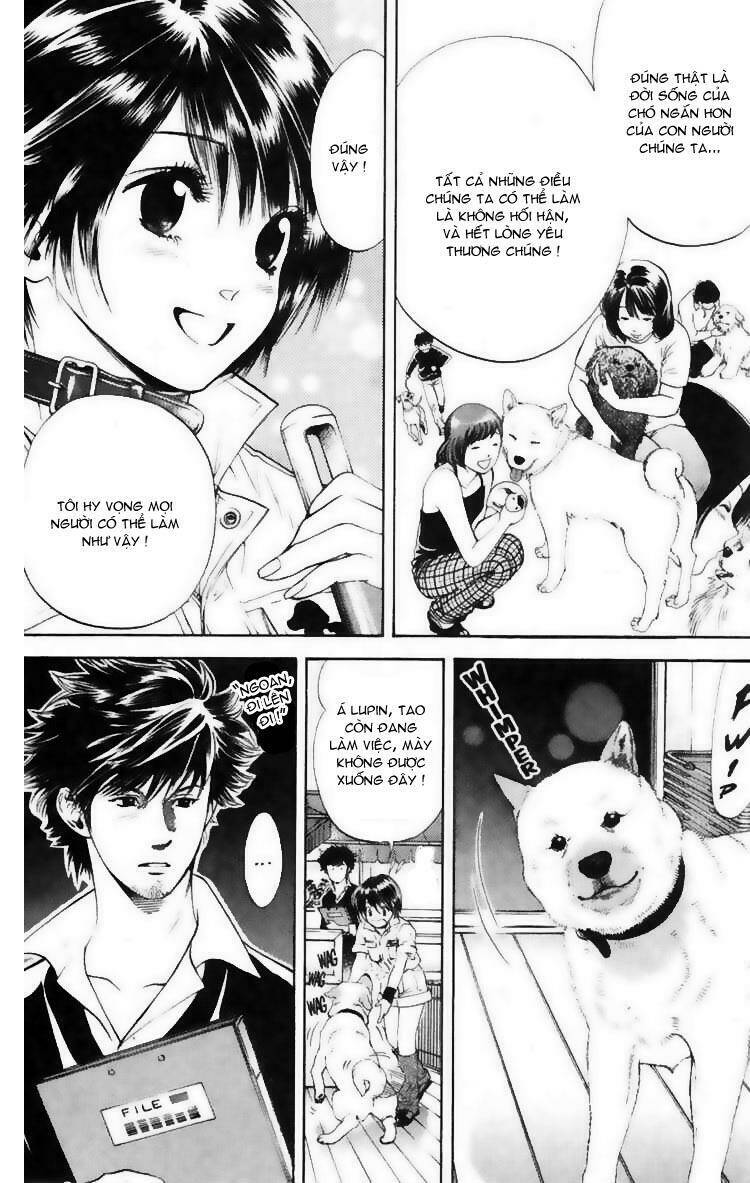 cô nàng yêu chó chapter 7 9