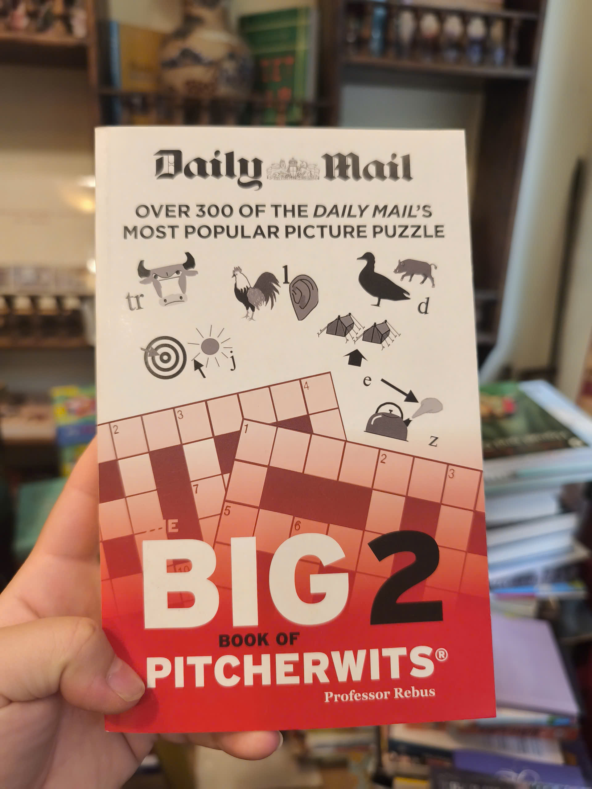 Sách - Big Book of Pitcherwits 2 - Picture Puzzle | Games / Ngoại văn Nhập khẩu UK / Trò chơi giải trí