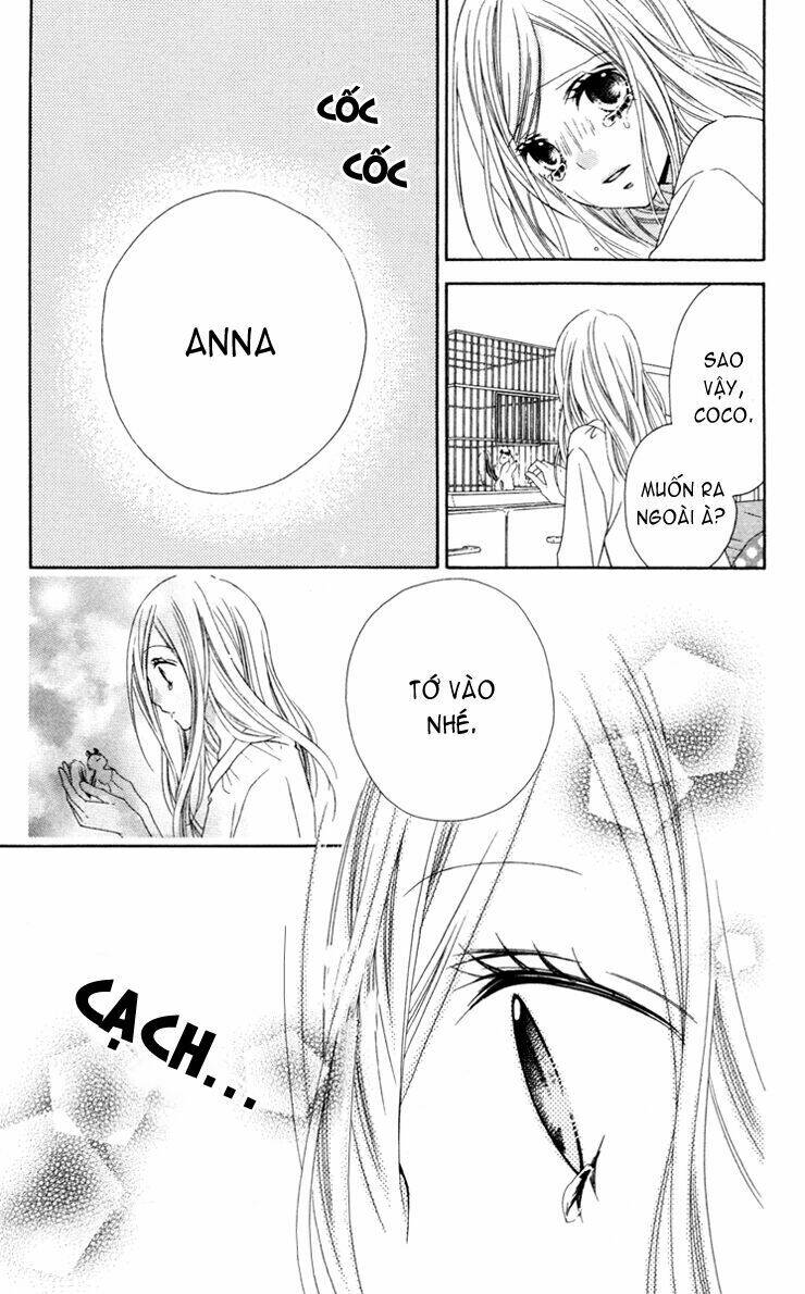 stardust wink chapter 24 14