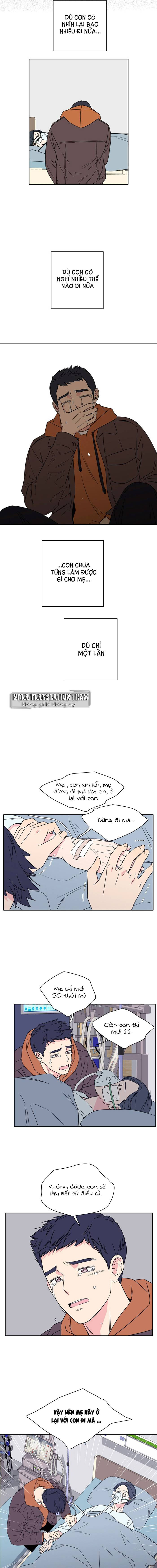 mẹ, con xin lỗi chapter 1 8