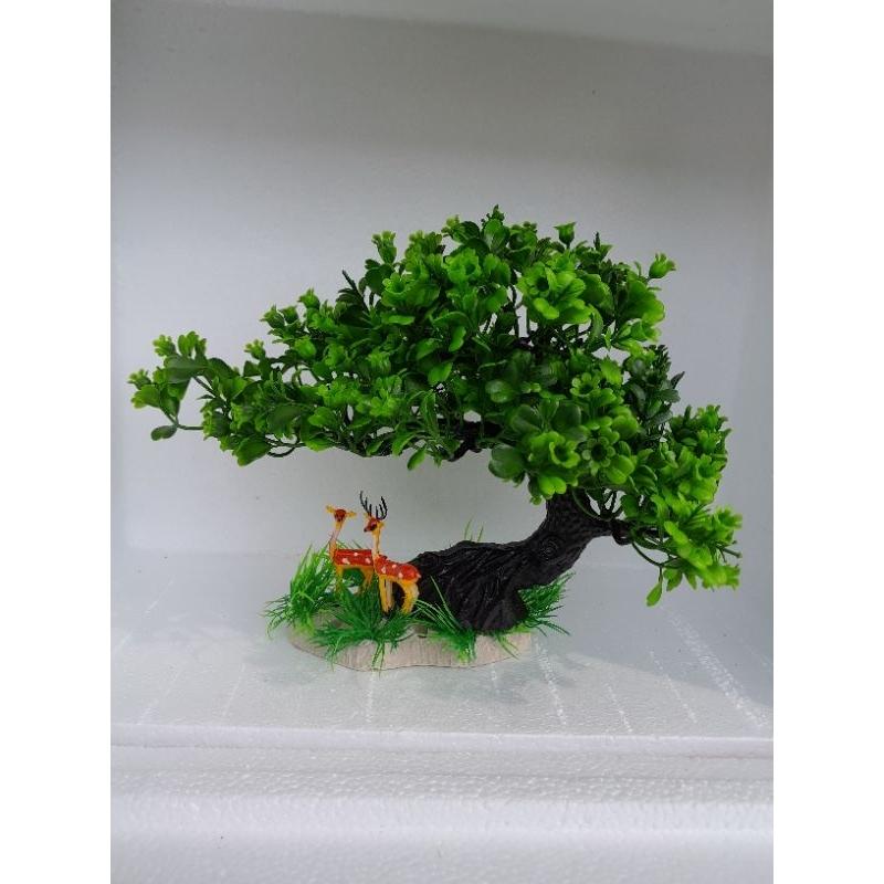 Bonsai bể cá cảnh - cây để bàn - cây trang trí hòn non bộ tiể cảnh