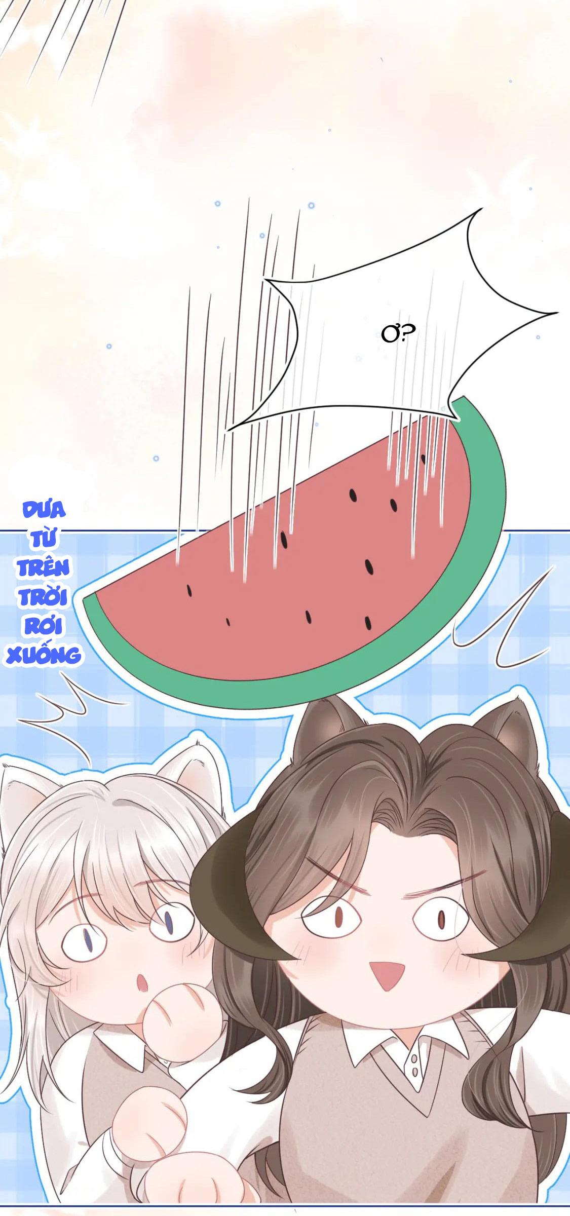 [ss2] một ngụm ăn cả thỏ con chapter 16 38