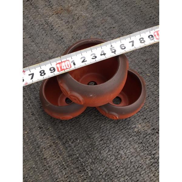 Chậu mini trồng sen đá xương rồng