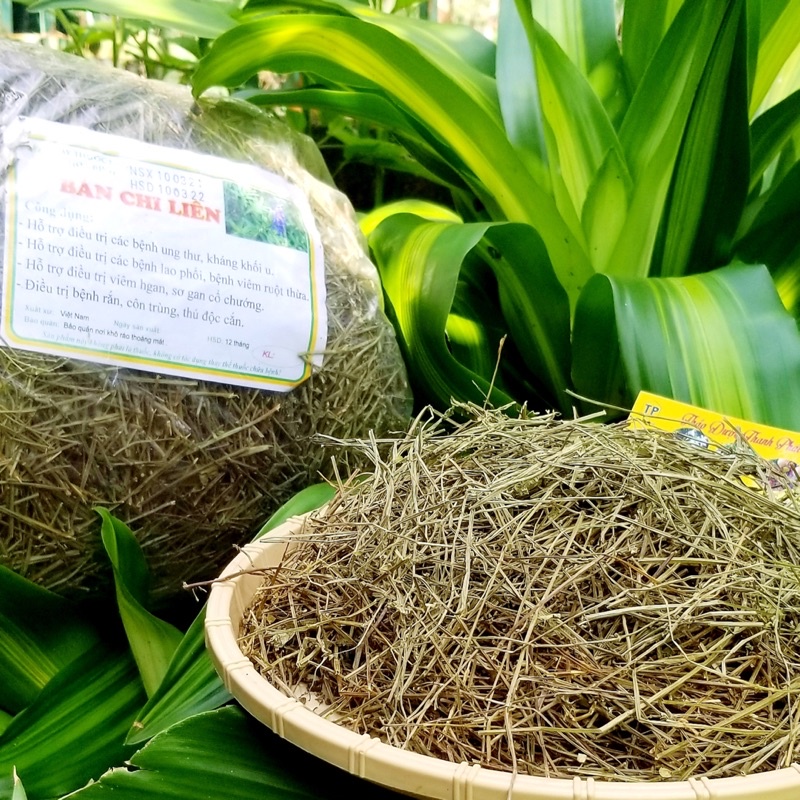 Cây bán chi liên 1kg