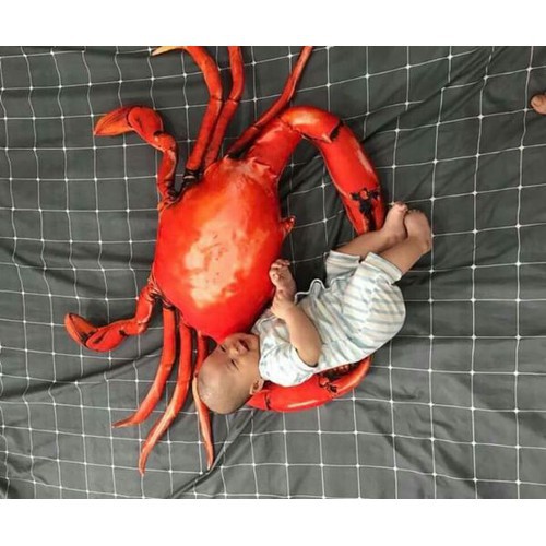 GẤU BÔNG CUA CÀ MAU , GHẸ BÔNG 3D SIÊU TO KHỔNG LỒ