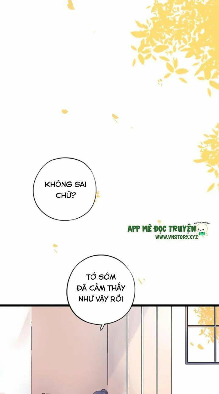 trạch thượng tịch mịch huỳnh hỏa chapter 43 4