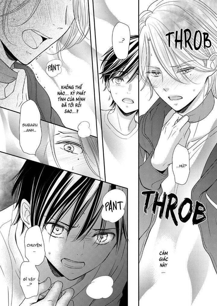 bạn đời dối trá chapter 19 23