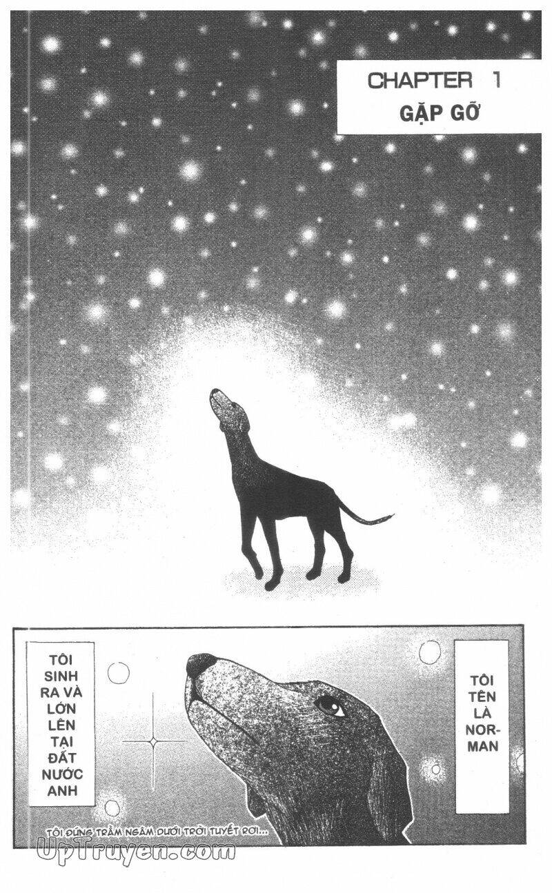 chân dung m&n chapter 5 98