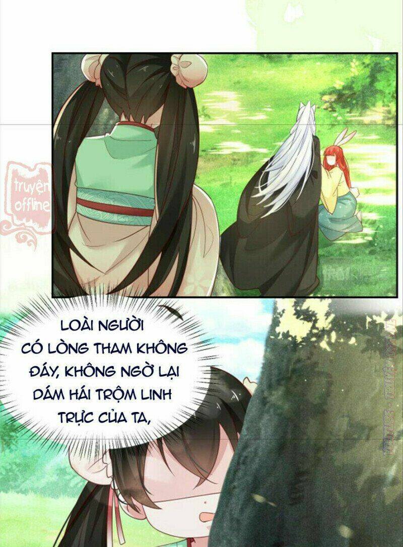 hắc hóa nam chính trực tuyến nuôi thỏ chapter 50 35