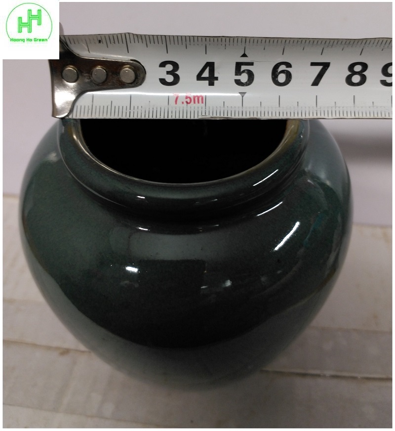 1 Chum, Lu, Bình gốm sứ trồng cây, trồng thủy sinh, đựng đồ uống, dung tích 1L - Màu đỏ