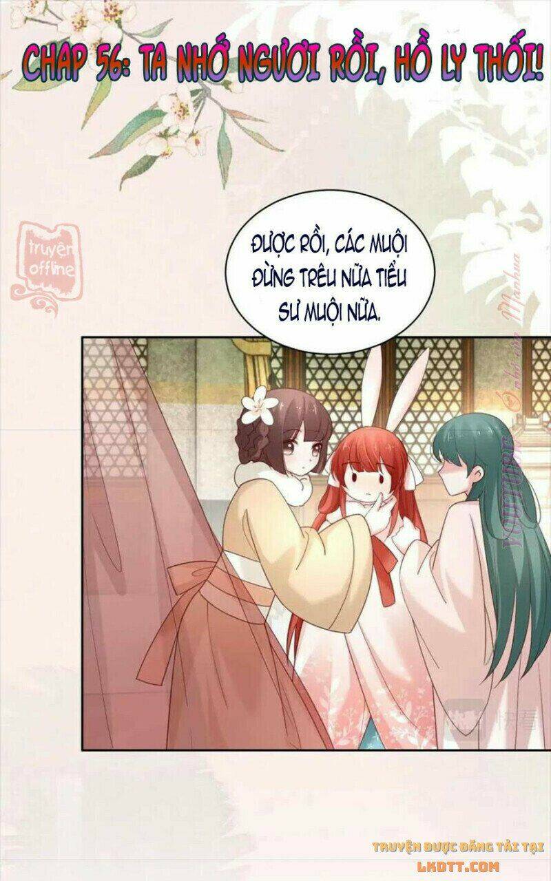 hắc hóa nam chính trực tuyến nuôi thỏ chapter 56 1