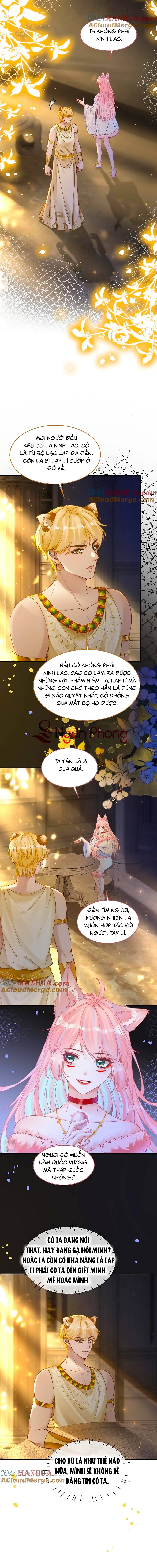 xuyên nhanh nữ phụ bình tĩnh chút chapter 168 8