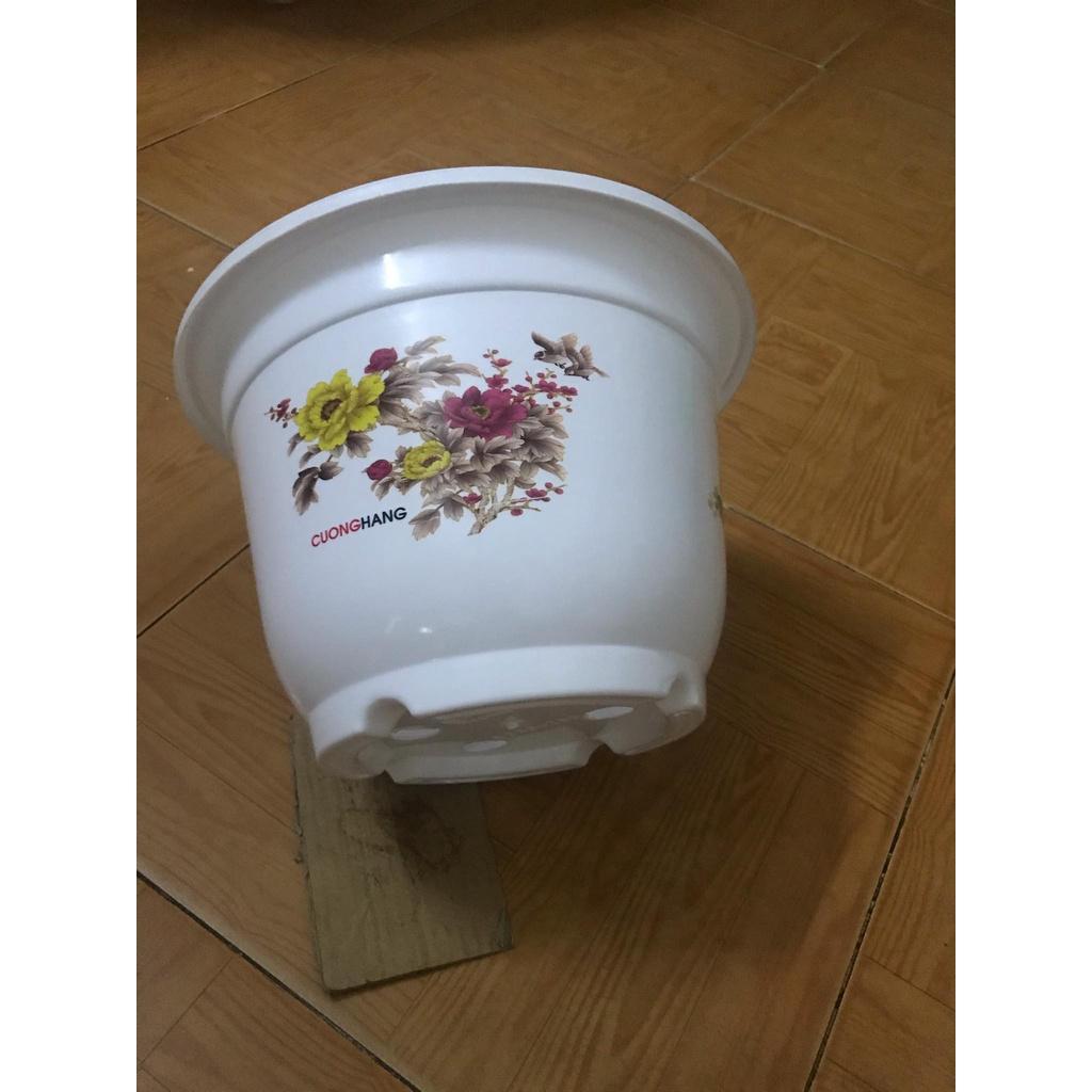 5 chậu nhựa trồng cây - Chậu trồng hoa, trồng rau size 28x20 cm