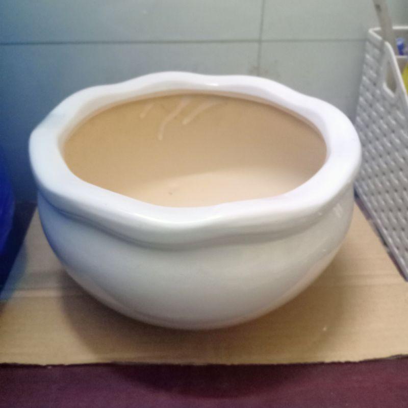 Chậu sứ miệng bèo - KT: R18 x C11 x Đ11