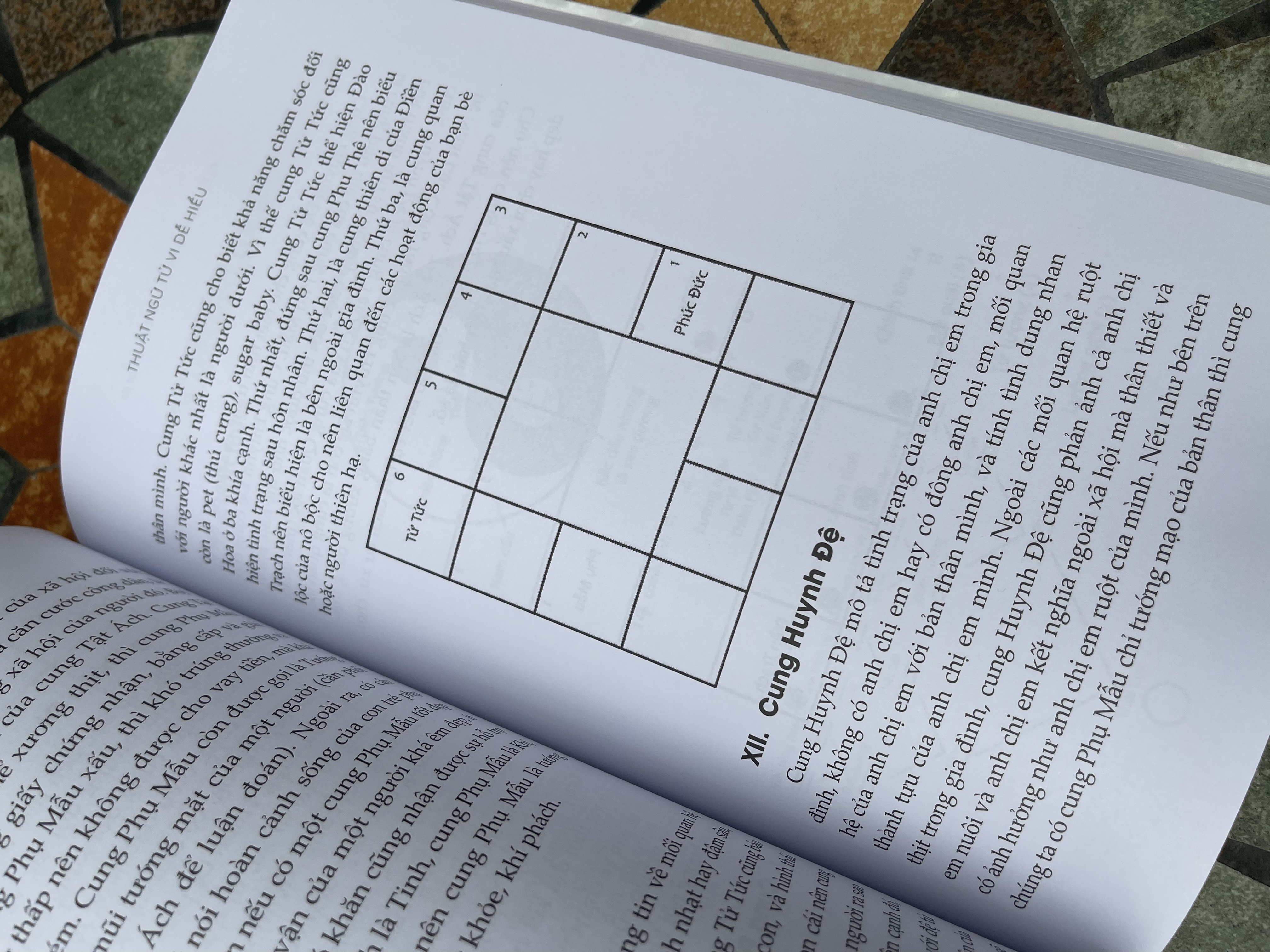 THUẬT NGỮ TỬ VI DỄ HIỂU - Alex Alpha – Thái Hà books – NXB Thế Giới