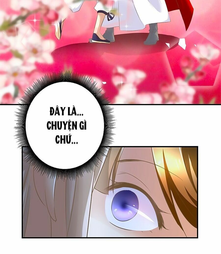 thuần phi ký chapter 11 2