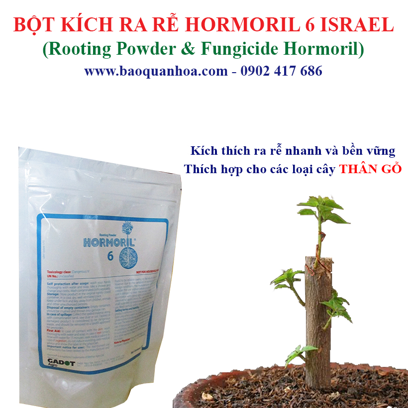 Bột kích rễ Israel cây hoa hồng và cây thân gỗ khác. Hủ 100gr Hormoril 6 giúp kích thích cây ra rễ nhanh, khỏe và sát khuẩn vết cắt để đạt tỷ lệ thành công cao trên cây con và cây giâm chiết cành