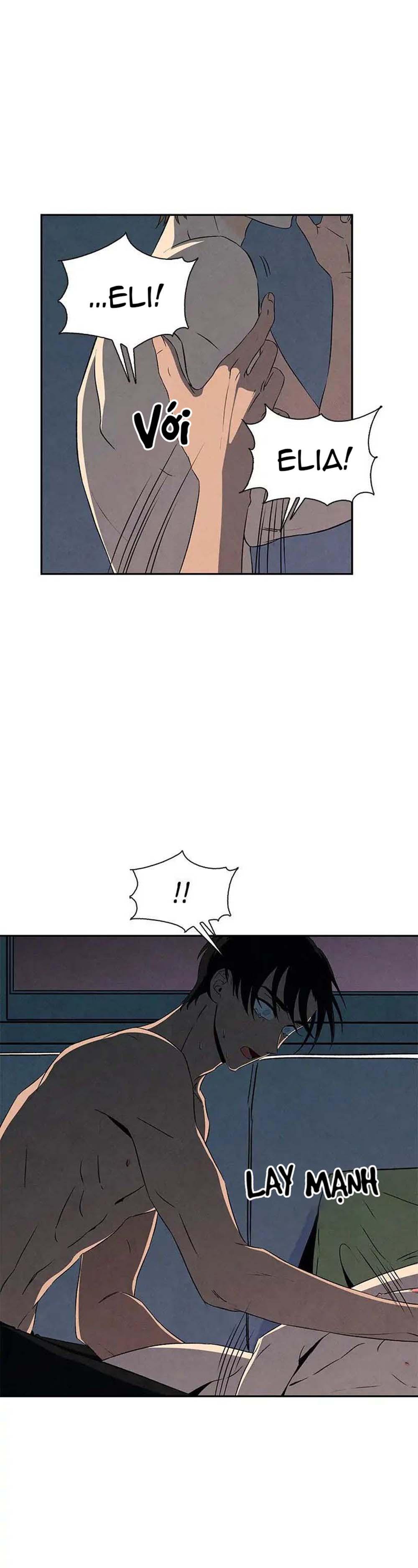 bona sort chapter 11 22