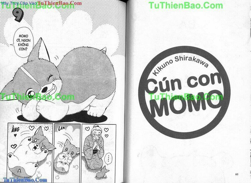 chó con mo mo chapter 2 31