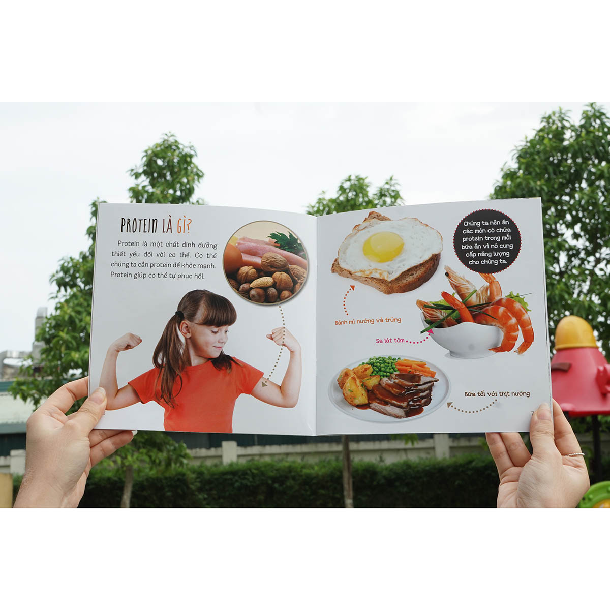 Combo : Healthy eating - Ăn uống lành mạnh