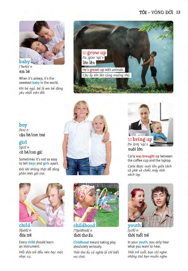 Sách Học Tự Vựng Tiếng Anh Qua Hình Và Ví Dụ Minh Họa