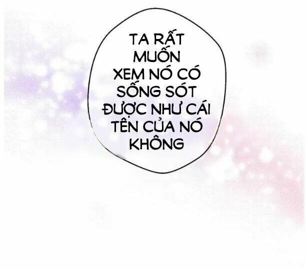 một ngày nọ tôi bỗng thành nàng công chúa chapter 4 15