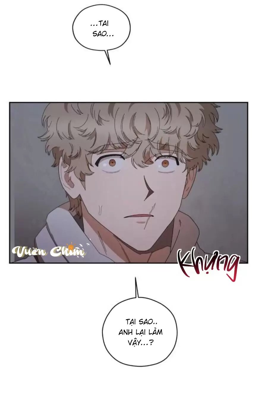 liveta chapter 33 46