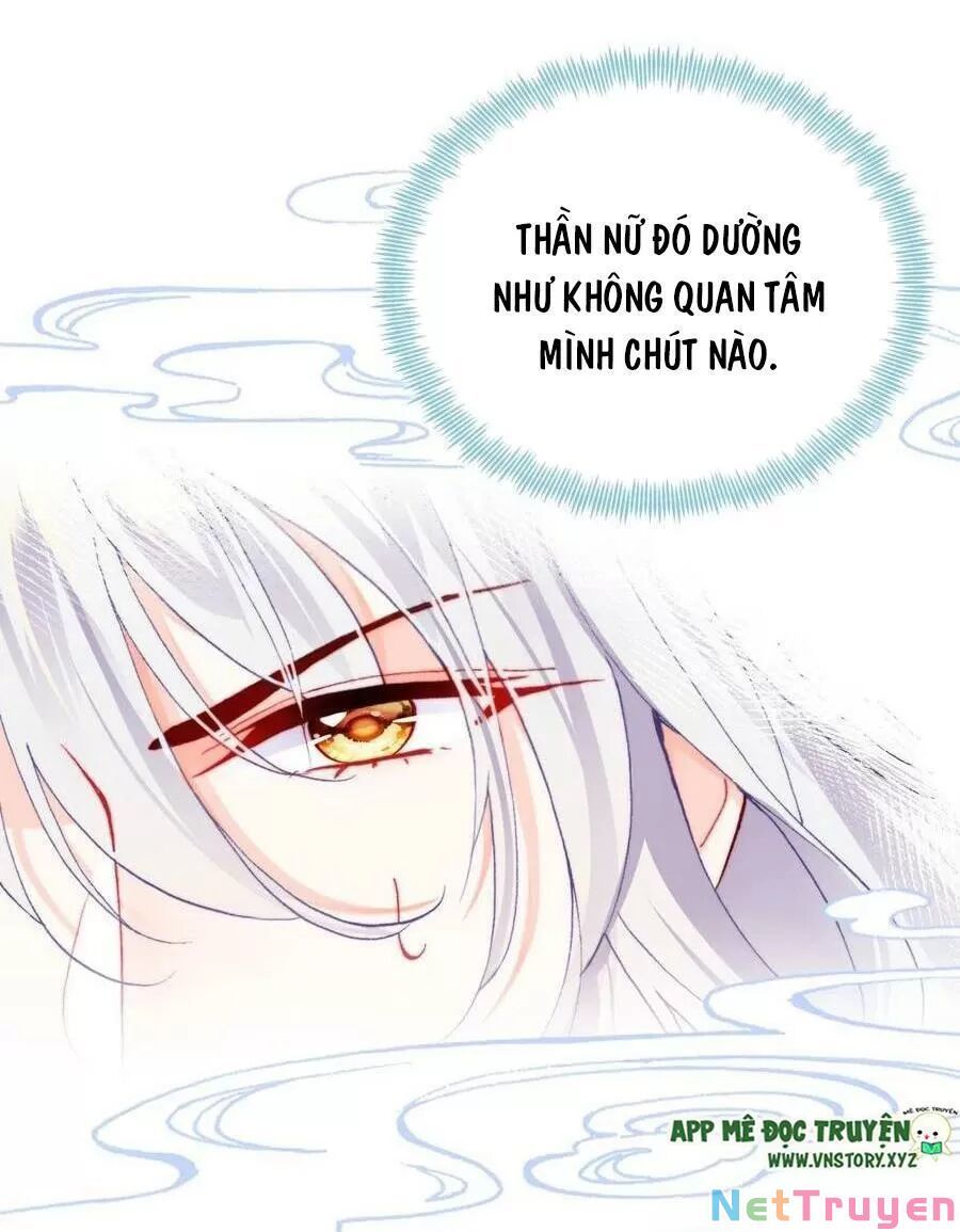 lại bị bệnh chiều chuộng quấn lấy chapter 69 45