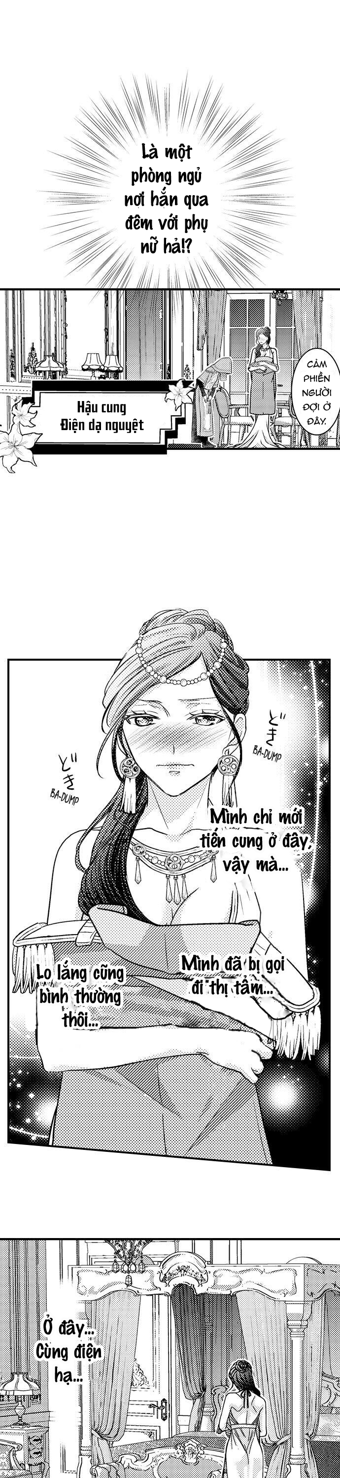chuyển sinh vào thế giới khác ~ nếu muốn trở thành nữ hoàng hãy tìm cách để được hoàng đế sủng ái vào ban đêm chapter 3.1 6