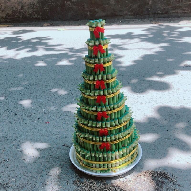 Trúc Phát Tài 9 Thân Kèm Dĩa