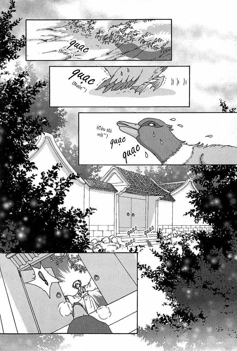 bird of youth chapter 2 9