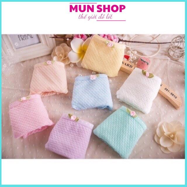 Combo 10 quần cotton sợi bông