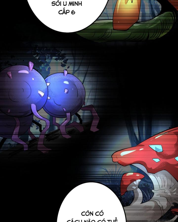 ta, chúa tể rừng xanh chapter 3 53