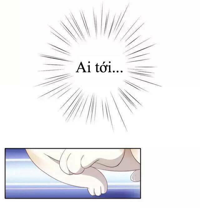 dưới móng vuốt mèo chapter 14 39