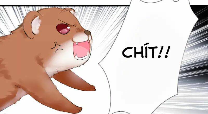 hành trình sủng đế cơ chapter 1 35