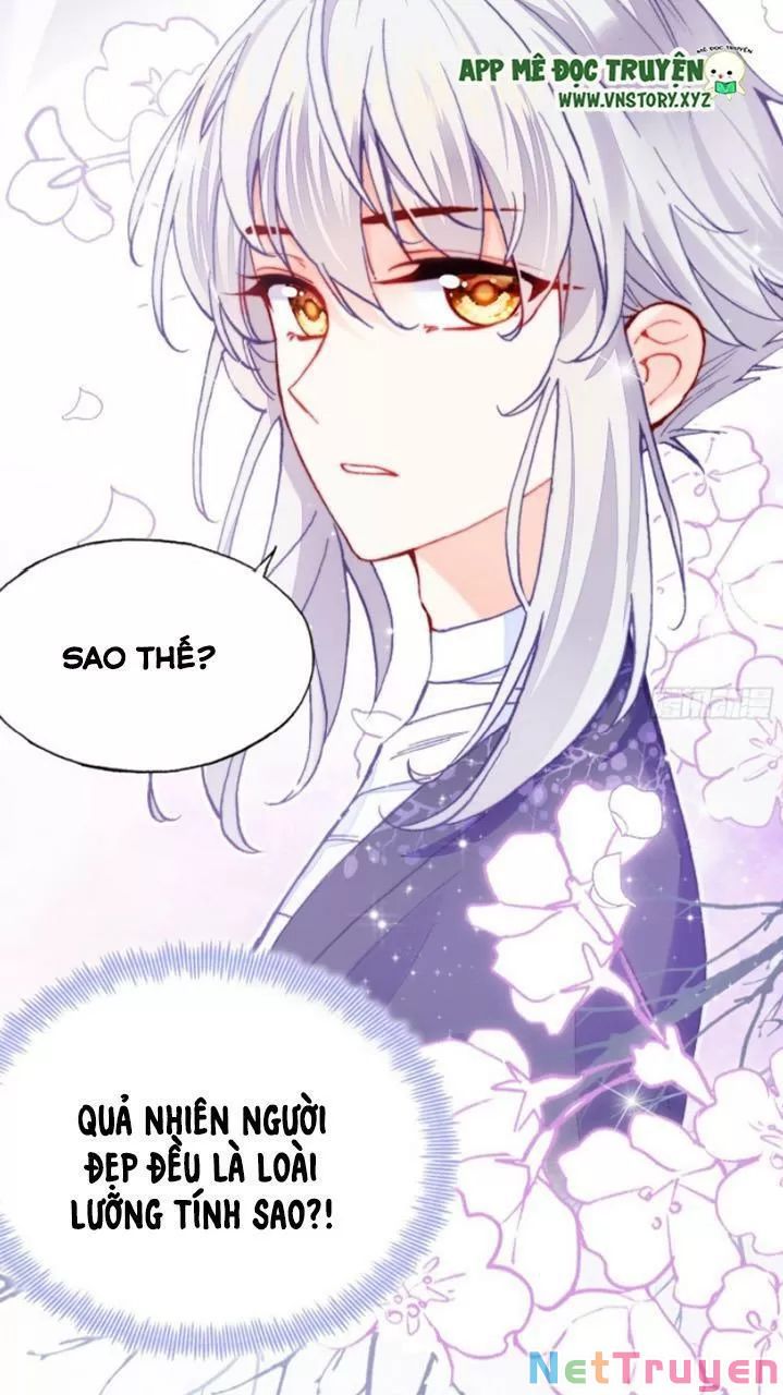 lại bị bệnh chiều chuộng quấn lấy chapter 18 13