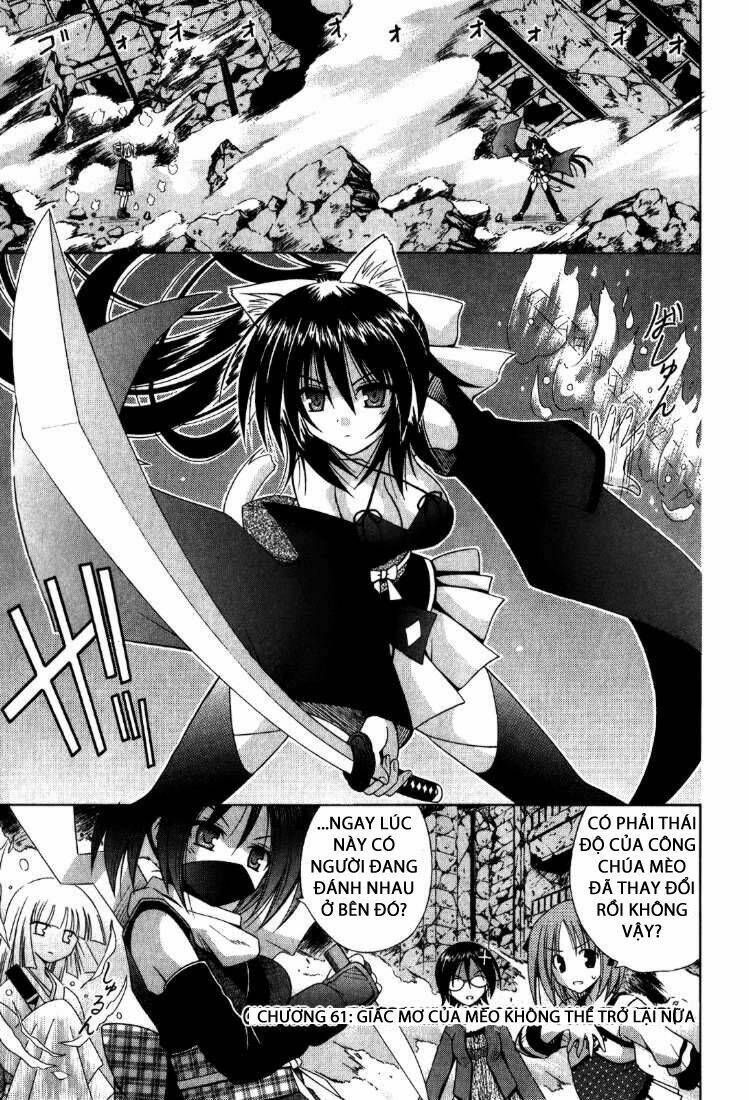 omamori himari chapter 61 2