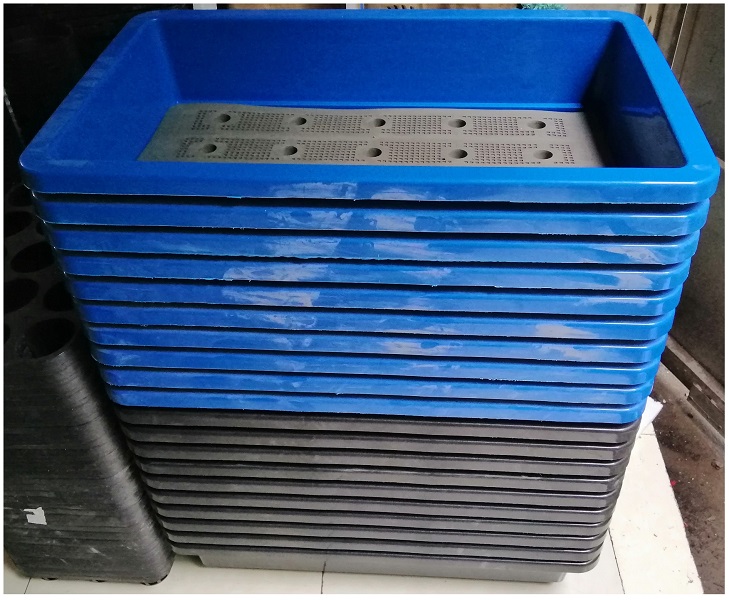 2 KHAY NHỰA TRỒNG RAU KÍCH THƯỚC 68X42X15CM - MÀU XANH