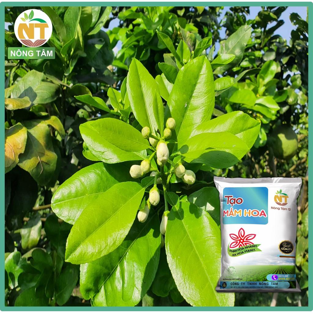 Phân bón lá, phân bón Siêu tạo mầm hoa, kích ra hoa cực mạnh chuyên cho cây ăn quả, gói 1kg