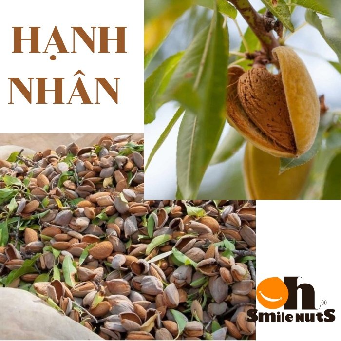 Hạt Hạnh Nhân nguyên vỏ rang bơ Smile Nuts nhập khẩu từ Mỹ