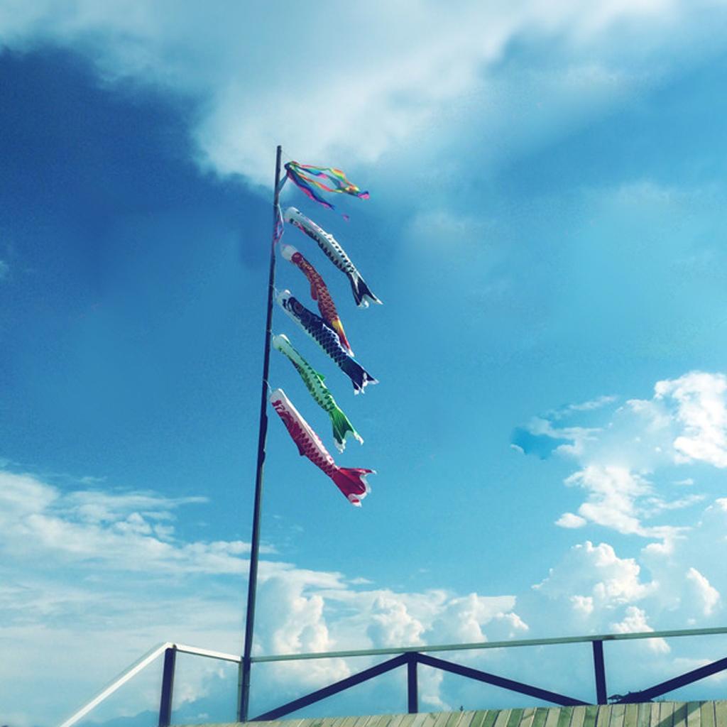 4x 55cm Japanese Carp Flag Koinobori Wind Streamer Children's Boy's Day