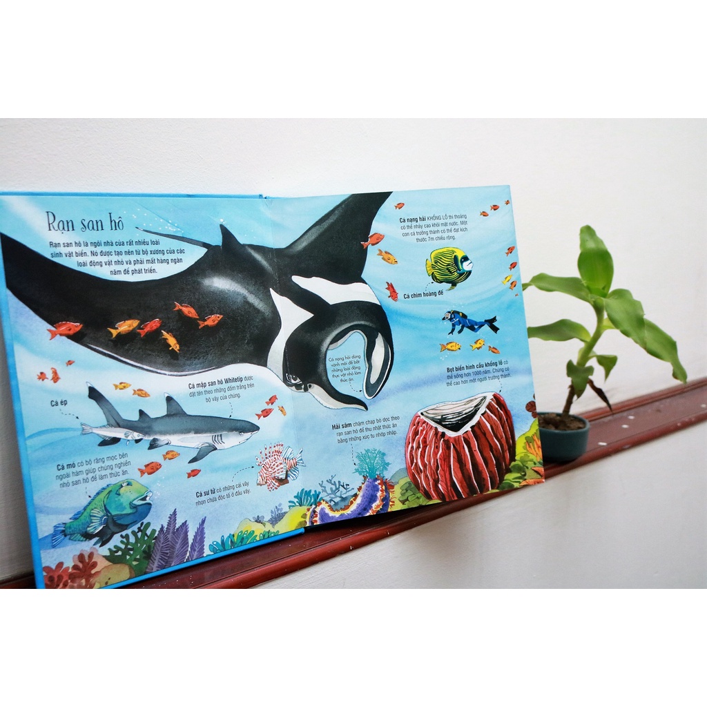 Sách Tương Tác - Big Book - Cuốn Sách Khổng Lồ Về Các Loài Động Vật Biển – Đinh Tị