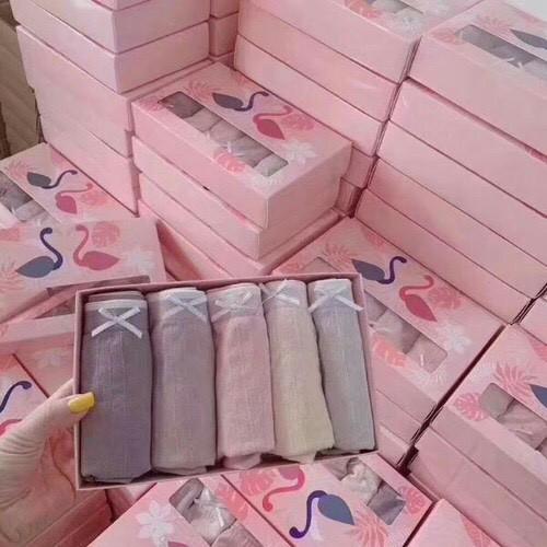 Hộp 5 Quần Lót Cotton Thiên Nga Dễ Thương Co Giãn 4 Chiều Cao Cấp