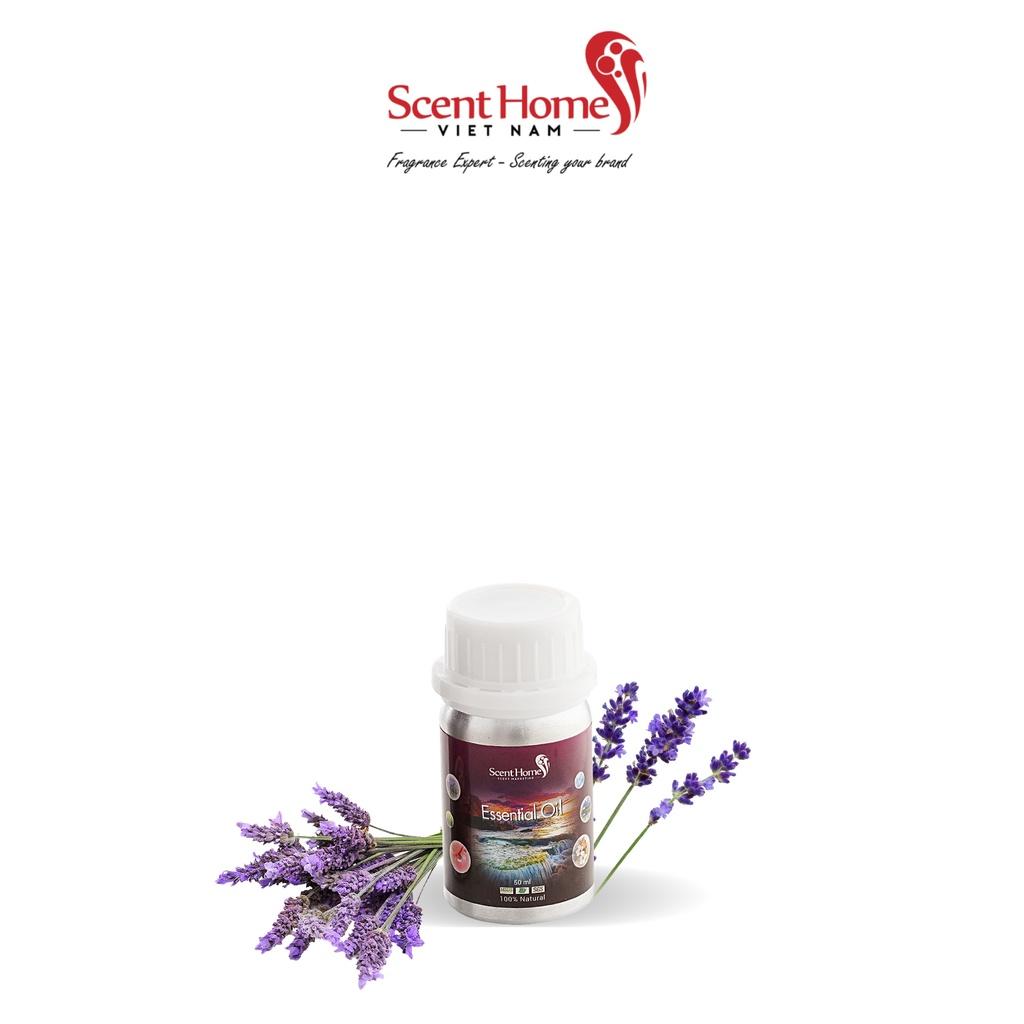 Tinh dầu Scent Homes - mùi hương
