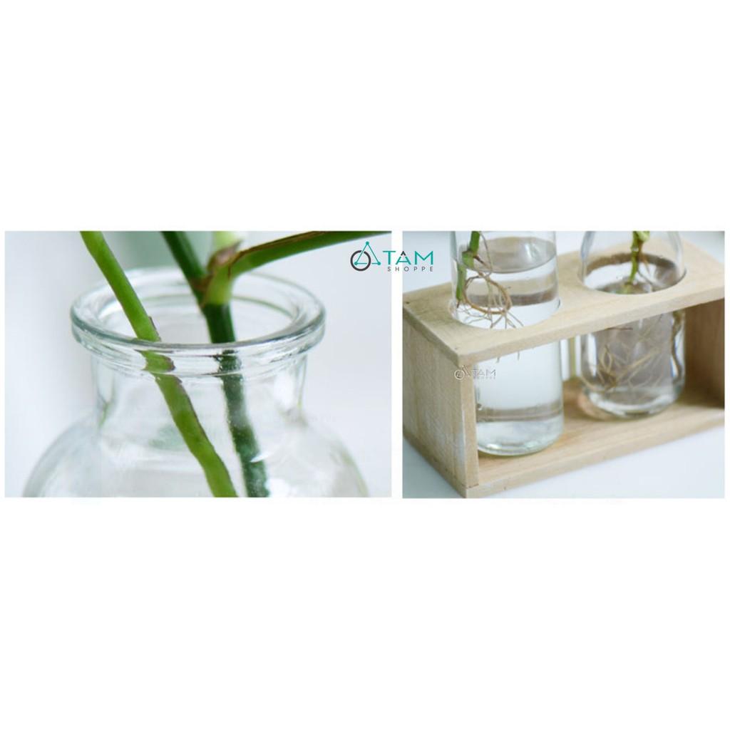 Bộ khung gỗ lọ thủy tinh cắm hoa số 74